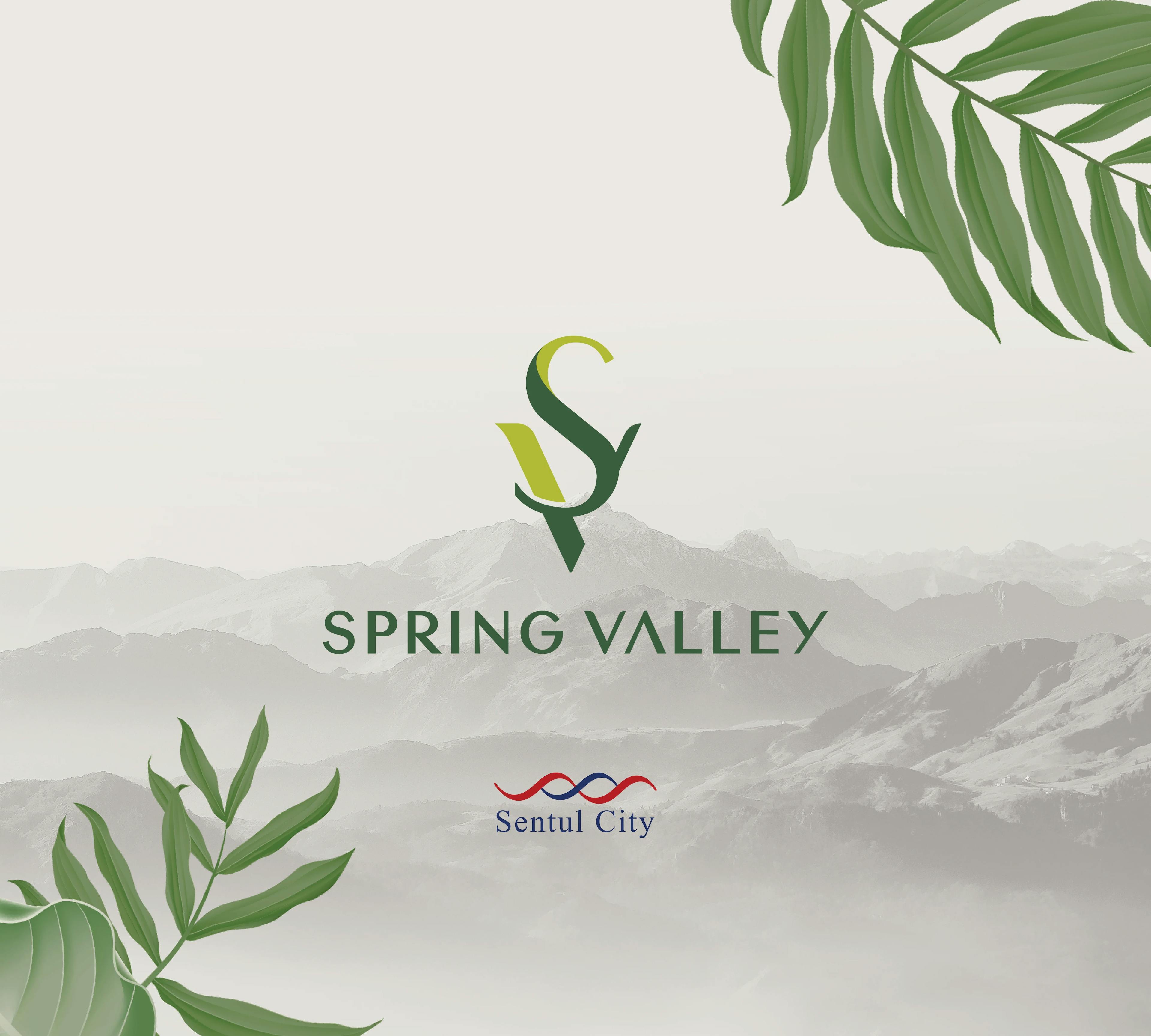 spring_valley_BwbyvTSzW6.webp